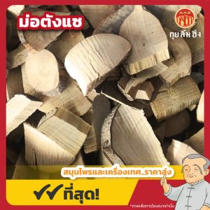 ม่อตังแซ 毛冬青 ขนาด 1 กิโลกรัม