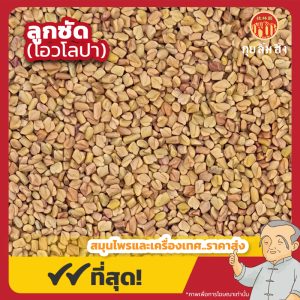 ลูกซัด โอวโลปา (Fenugreek) 胡芦巴 ขนาด 1 กิโลกรัม