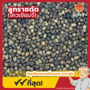 ลูกราชดัด (โควเซียมจี้) 苦参子 ขนาด 1 กิโลกรัม