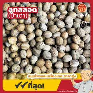 ลูกสลอด (ปาเต่า) 巴豆 ขนาด 1 กิโลกรัม