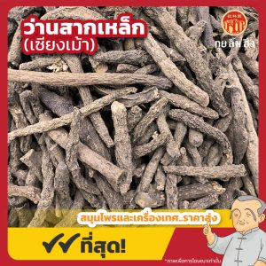 ว่านสากเหล็ก (เซียงเม้า) 仙茅 ขนาด 1 กิโลกรัม