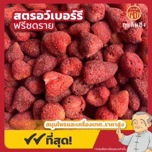 สตรอว์เบอร์รีฟรีซดราย (Strawberry Freeze Dried) 冰冻草莓 ขนาด 100 กรัม