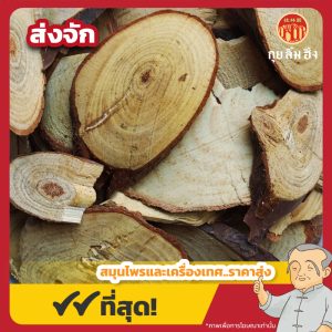 ส่งจัก 松节 ขนาด 1 กิโลกรัม