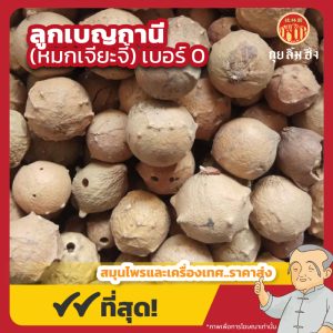 ลูกเบญกานี เบอร์ 0 (หมกเจียะจี้) 沒石子 ขนาด 1 กิโลกรัม