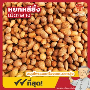 หยกหลียิ้งเม็ดกลาง 郁李仁 ขนาด 1 กิโลกรัม