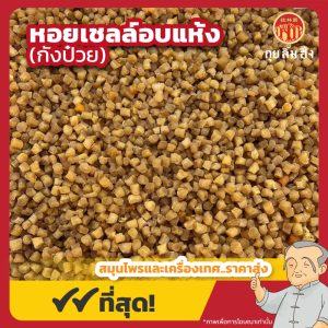 หอยเชลล์อบแห้ง (กังป๋วย) 干贝 ขนาด 1 กิโลกรัม