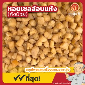 หอยเชลล์อบแห้ง (กังป๋วย) 干贝 ขนาด 1 กิโลกรัม