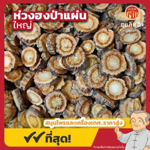 ห่วงฮงป่า แผ่นใหญ่ (Radix Saposhnikoviae) 防风大片 ขนาด 1 กิโลกรัม