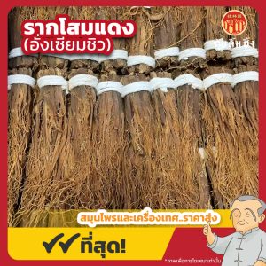 รากโสมแดง (อั่งเซียมชิว) 红参须 ขนาด 1 กิโลกรัม