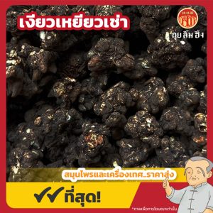 เงียวเหยียวเช่า 猫爪草 ขนาด 1 กิโลกรัม