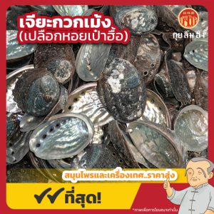 เจียะกวกเม้ง (เปลือกหอยเป๋าฮื้อ) 石决明 ขนาด 1 กิโลกรัม