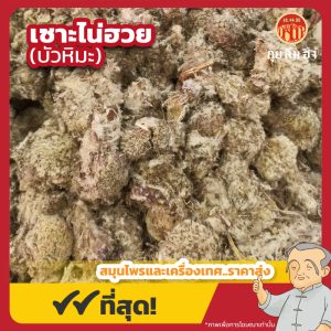 เซาะไน่ฮวย (บัวหิมะ) 雪莲花 ขนาด 1 กิโลกรัม