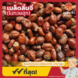 เมล็ดลิ้นจี่ (ไน่กวยฮุก) 荔枝核 ขนาด 1 กิโลกรัม