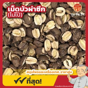 เม็ดบัวผ่าซีก (ไน่ไป้) 內白 ขนาด 1 กิโลกรัม