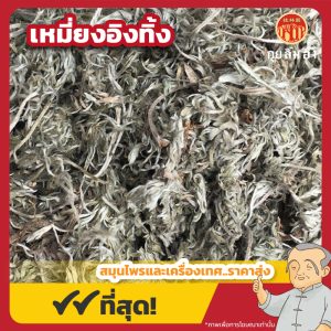 เหมี่ยงอิงทิ้ง 绵茵陈 ขนาด 1 กิโลกรัม