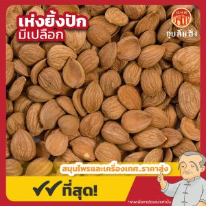 เห่งยิ้งปัก มีเปลือก (Apricot Seed) 杏仁 ขนาด 1 กิโลกรัม