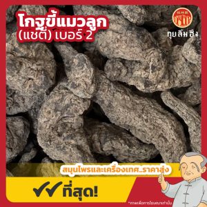 โกฐขี้แมวลูก เบอร์ 2 (แชตี่) 生地黄 ขนาด 1 กิโลกรัม