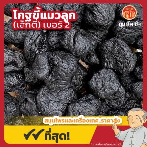 โกฐขี้แมวลูก เบอร์ 2 (เส็กตี่) 生地黄 ขนาด 1 กิโลกรัม