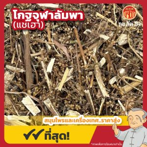 โกฐจุฬาลัมพา (แชเฮา) 青蒿 ขนาด 1 กิโลกรัม