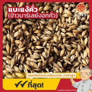 แบะแง้คั่ว (ข้าวบาร์เลย์งอกคั่ว) 炒麦芽 ขนาด 1 กิโลกรัม