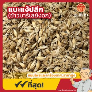แบะแง้ปลีก (ข้าวบาร์เลย์งอก) 散麦芽 ขนาด 1 กิโลกรัม