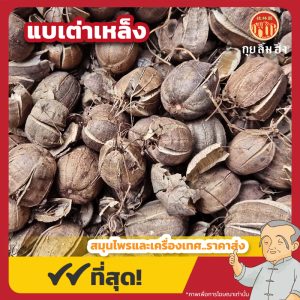 แบเต่าเหล็ง 馬兜鈴 ขนาด 1 กิโลกรัม