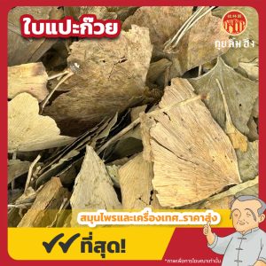 ใบแปะก๊วย (Ginkgo Leaves) 银杏叶 ขนาด 1 กิโลกรัม
