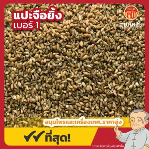 แปะจือยิ้ง เบอร์ 1 柏子仁 ขนาด 1 กิโลกรัม