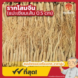 รากโสมจีน 0.5 cm. (แปะเซียมเส้นเล็ก) 白參 ขนาด 1 กิโลกรัม