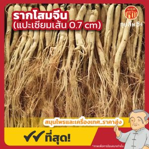 รากโสมจีน 0.7 cm. (แปะเซียมเส้นเล็ก) 白參 ขนาด 1 กิโลกรัม