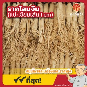 รากโสมจีน 1 cm. (แปะเซียมเส้นกลาง) 白參 ขนาด 1 กิโลกรัม
