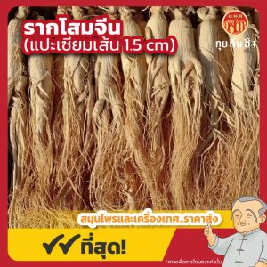 รากโสมจีน 1.5 cm. (แปะเซียมเส้นใหญ่) 白參 ขนาด 1 กิโลกรัม