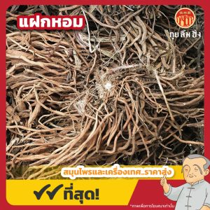 แฝกหอม (Vetiver Grass) 香根草 ขนาด 1 กิโลกรัม