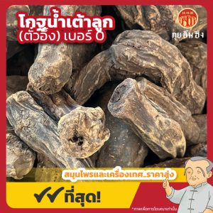 โกฐน้ำเต้าลูก เบอร์ 0 (ตั๋วอึ้ง) 大黄 ขนาด 1 กิโลกรัม