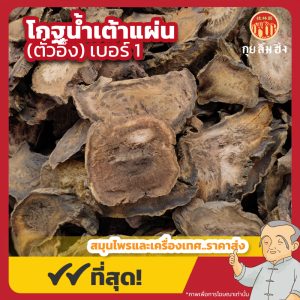 โกฐน้ำเต้าแผ่น เบอร์ 1 (ตั๋วอึ้ง) 大黄片 ขนาด 1 กิโลกรัม