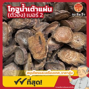 โกฐน้ำเต้าแผ่น เบอร์ 2 (ตั๋วอึ้ง) 大黄片 ขนาด 1 กิโลกรัม