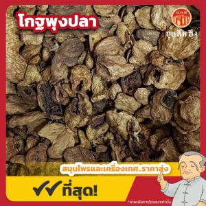 โกฐพุงปลา ขนาด 1 กิโลกรัม
