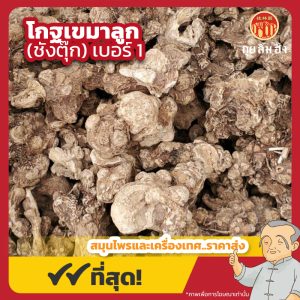 โกฐเขมาลูก เบอร์ 1 (ชังตุ๊ก) 苍术 ขนาด 1 กิโลกรัม