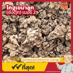 โกฐเขมาลูก เบอร์ 2 (ชังตุ๊ก) 苍术 ขนาด 1 กิโลกรัม