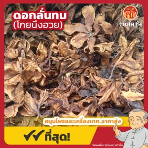 ดอกลั่นทม (โกยนึงฮวย) 鸡蛋花 ขนาด 1 กิโลกรัม