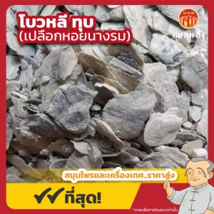 โบวหลี ทุบ (เปลือกหอยนางรม) 打碎生牡蛎 ขนาด 1 กิโลกรัม
