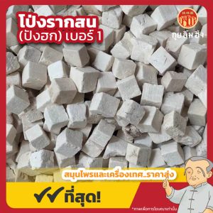 โป่งรากสน เบอร์ 1 (ปังฮก) 茯苓粒 ขนาด 1 กิโลกรัม