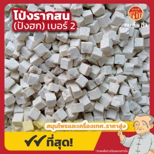โป่งรากสน เบอร์ 2 (ปังฮก) 茯苓粒 ขนาด 1 กิโลกรัม