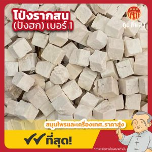โป่งรากสน เบอร์ 1 (ปังฮก) 方茯粒 ขนาด 1 กิโลกรัม