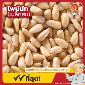ไพน์นัท (Pine Nut) 松子仁 ขนาด 250 กรัม