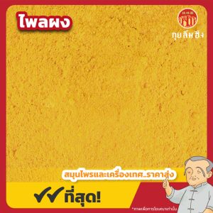 ไพลผง (Plai Powder) ขนาด 1 กิโลกรัม