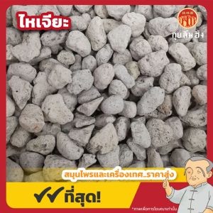ไหเจียะ 浮海石 ขนาด 1 กิโลกรัม