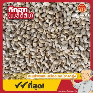 กิกฮุก (เมล็ดส้ม) 橘核 ขนาด 1 กิโลกรัม