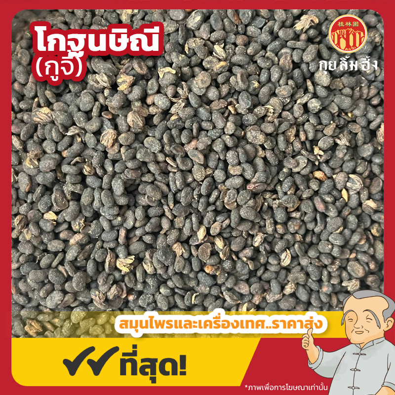 กรอบเว็บไซด์ กูจี้