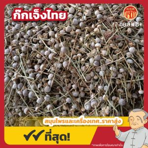 ก๊กเจ็งไทย (Pipewort) 谷精子 ขนาด 1 กิโลกรัม